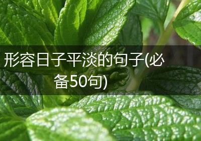 形容日子平淡的句子(必备50句)