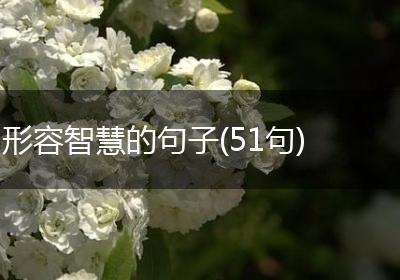 形容智慧的句子(51句)