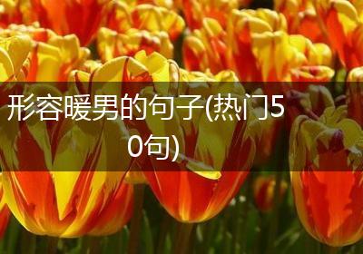 形容暖男的句子(热门50句)