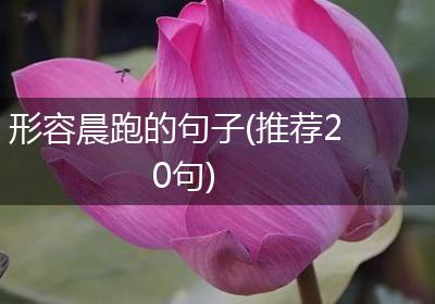 形容晨跑的句子(推荐20句)