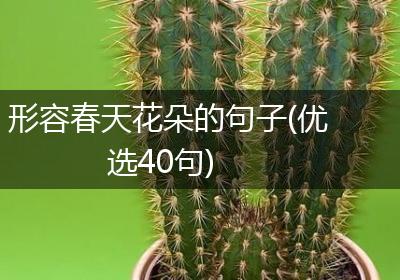 形容春天花朵的句子(优选40句)
