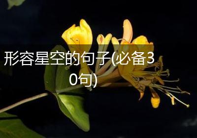 形容星空的句子(必备30句)