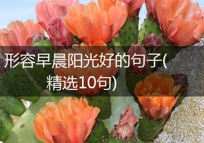 形容早晨阳光好的句子(精选10句)