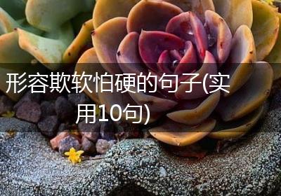 形容欺软怕硬的句子(实用10句)