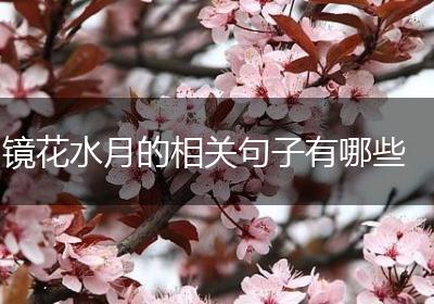镜花水月的相关句子有哪些