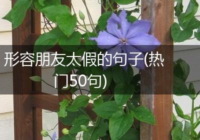 形容朋友太假的句子(热门50句)