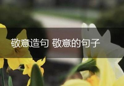 敬意造句 敬意的句子