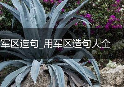 军区造句_用军区造句大全