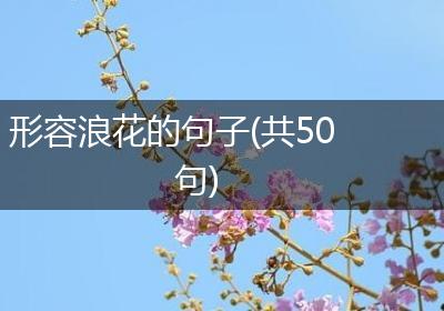 形容浪花的句子(共50句)