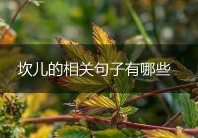 坎儿的相关句子有哪些