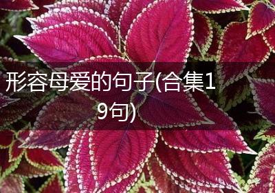 形容母爱的句子(合集19句)