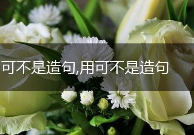 可不是造句,用可不是造句