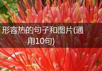 形容热的句子和图片(通用10句)