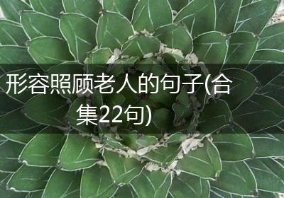 形容照顾老人的句子(合集22句)