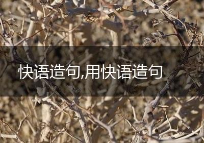 快语造句,用快语造句