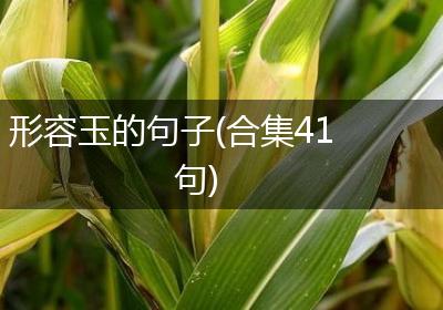 形容玉的句子(合集41句)