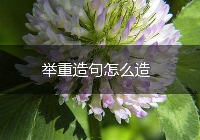 举重造句怎么造