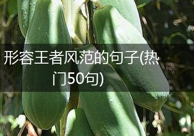 形容王者风范的句子(热门50句)
