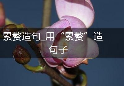 累赘造句_用“累赘”造句子
