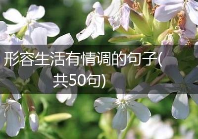 形容生活有情调的句子(共50句)