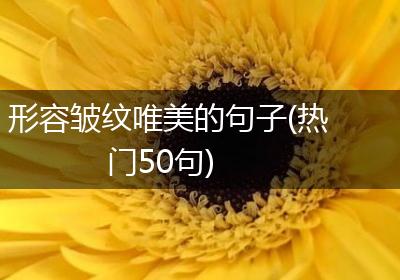 形容皱纹唯美的句子(热门50句)