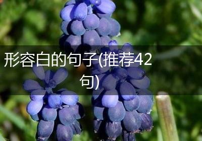 形容白的句子(推荐42句)