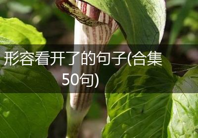 形容看开了的句子(合集50句)