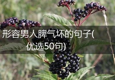形容男人脾气坏的句子(优选50句)