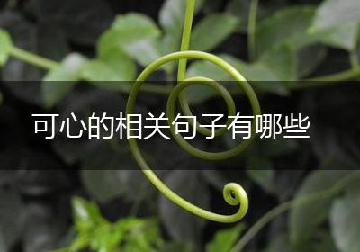 可心的相关句子有哪些