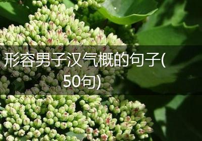 形容男子汉气概的句子(50句)