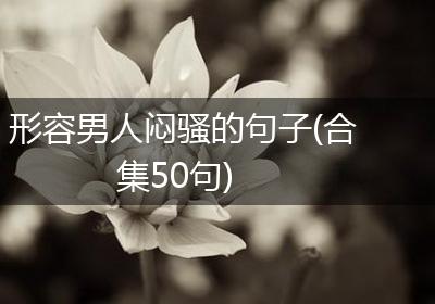 形容男人闷骚的句子(合集50句)