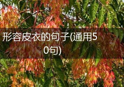 形容皮衣的句子(通用50句)