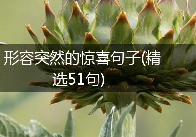 形容突然的惊喜句子(精选51句)