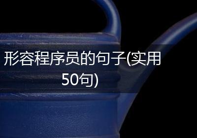 形容程序员的句子(实用50句)