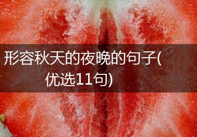 形容秋天的夜晚的句子(优选11句)