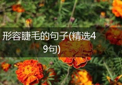 形容睫毛的句子(精选49句)