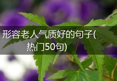 形容老人气质好的句子(热门50句)