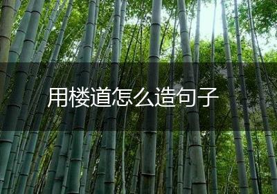 用楼道怎么造句子