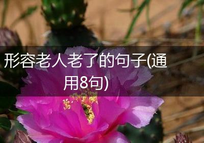 形容老人老了的句子(通用8句)