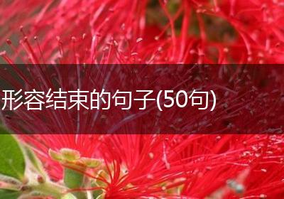 形容结束的句子(50句)