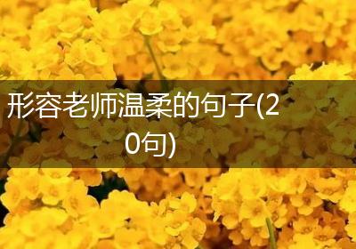 形容老师温柔的句子(20句)