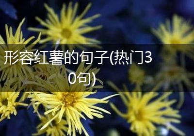 形容红薯的句子(热门30句)