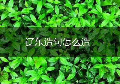 辽东造句怎么造