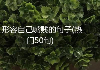 形容自己嘴贱的句子(热门50句)