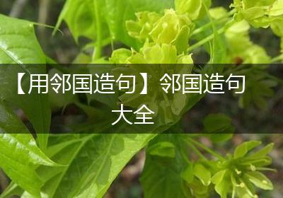 【用邻国造句】邻国造句大全
