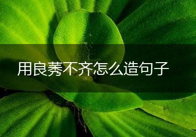 用良莠不齐怎么造句子