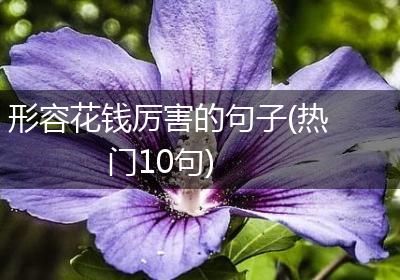 形容花钱厉害的句子(热门10句)