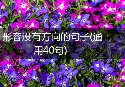 形容没有方向的句子(通用40句)