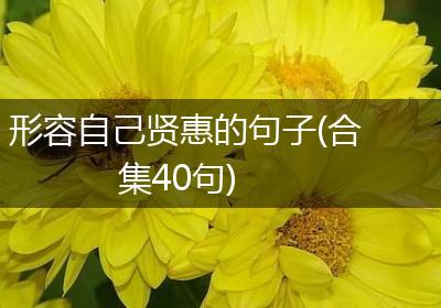 形容自己贤惠的句子(合集40句)