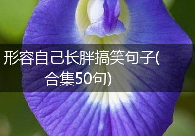 形容自己长胖搞笑句子(合集50句)